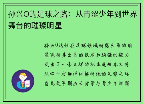 孙兴O的足球之路：从青涩少年到世界舞台的璀璨明星
