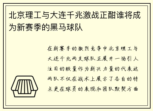 北京理工与大连千兆激战正酣谁将成为新赛季的黑马球队
