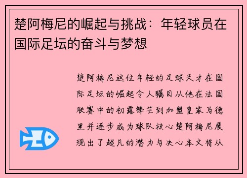 楚阿梅尼的崛起与挑战：年轻球员在国际足坛的奋斗与梦想